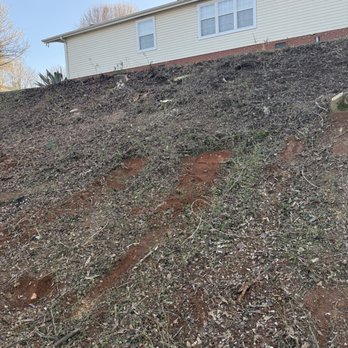 Bracken Tree Service - After - Tree Services Near Me Bracken Tree Service - After - Tree Services Near Me
