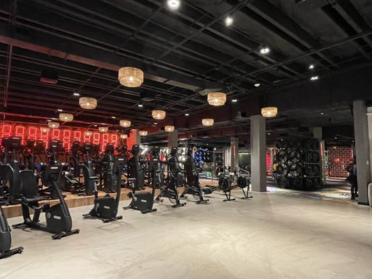 JOHN REED Fitness by null