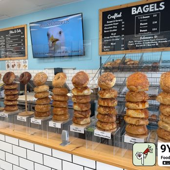 Baygulls Bakery - Bagels Near Me - Tampa, Florida Baygulls Bakery - Bagels Near Me - Tampa, Florida