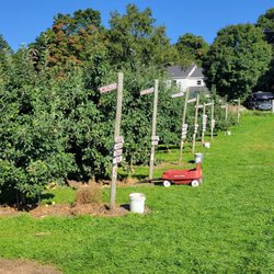 Burtt's Apple Orchard