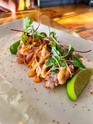 Bar San Miguel - Carroll Gardens by null