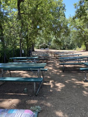 Amador Flower Farm by null