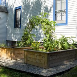 Victory Gardens - Dream garden in Hyattsville.