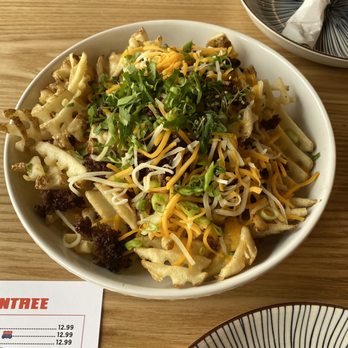 Mirin Fusion Kitchen - Cheesy Beef Fries - Asian Fusion Near Me - Augusta, Georgia
