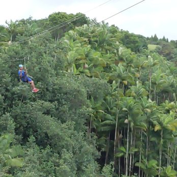 The Umauma Experience - Ziplining Near Me - Hakalau, Hawaii The Umauma Experience - Ziplining Near Me - Hakalau, Hawaii