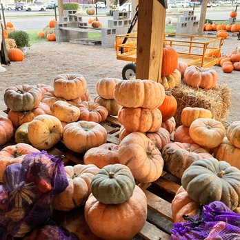 Texas Home & Garden - Pumpkin Patch - Home Decor Near Me - Joshua, Texas Texas Home & Garden - Pumpkin Patch - Home Decor Near Me - Joshua, Texas