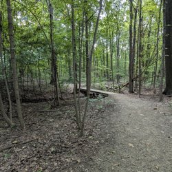 O'Neil Woods Metro Park - Trail
