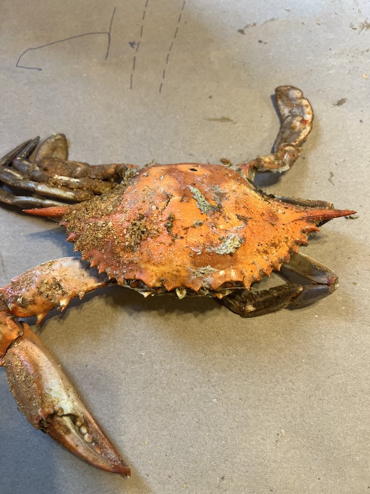 Food from Lowry's Crab Shack