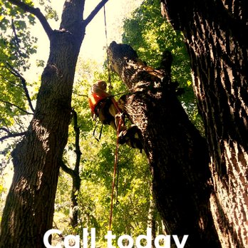 RC Tree Service - Tree Services Near Me RC Tree Service - Tree Services Near Me