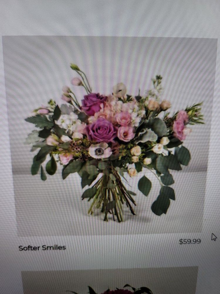 BELMONT FLOWERS Updated September 2024 Belmont, California