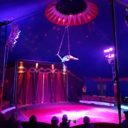 Zirkus Salino - Die Artisten sind beeindruckend...