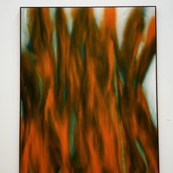 Mildred Lane Kemper Art Museum