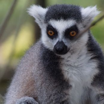 Zoo Menorca - Zoos Near Me - Alayor, C