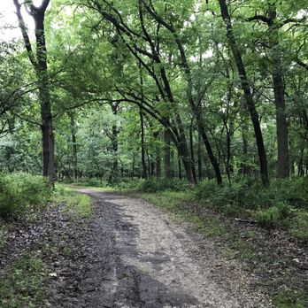 Catherine Chevalier Woods - Parks Near Me - Chicago, Illinois