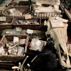 Malliway Brothers Magic and Witchcraft