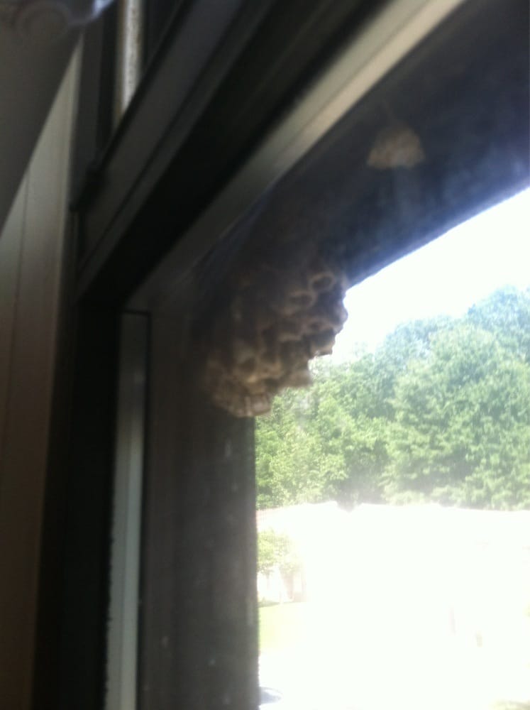 QUAIL HOLLOW APARTMENTS Apartments 59 Quail Holw, Inez, KY Phone