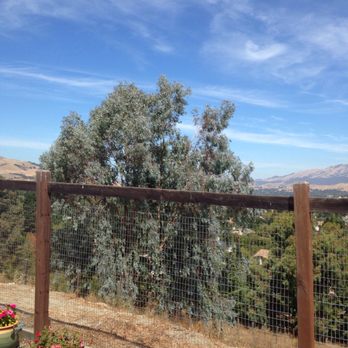 Terry's Tree Service - Before - Tree Services Near Me - Livermore, California Terry's Tree Service - Before - Tree Services Near Me - Livermore, California