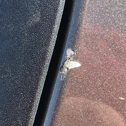 Damage tow driver did when unlocking door Damage tow driver did when unlocking door