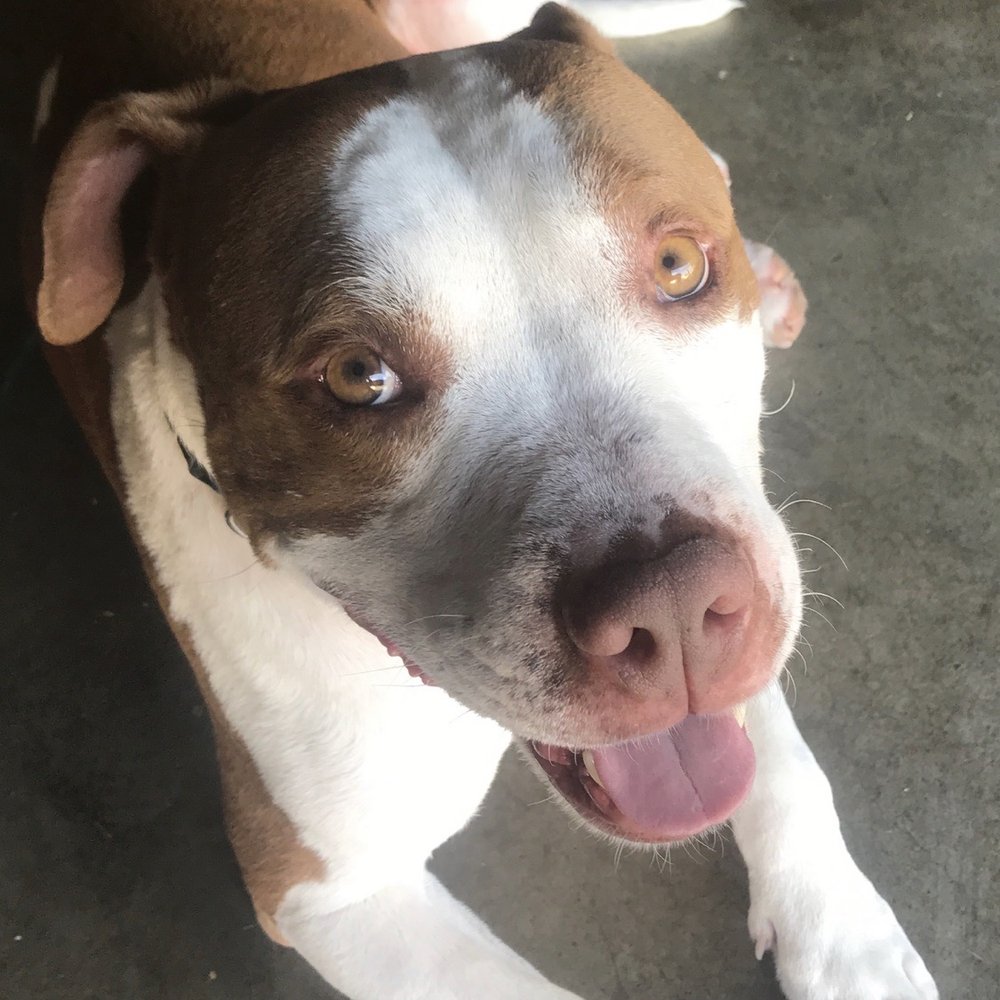 Dubee is sooo fresh & sooo clean!!! Dubee is sooo fresh & sooo clean!!!