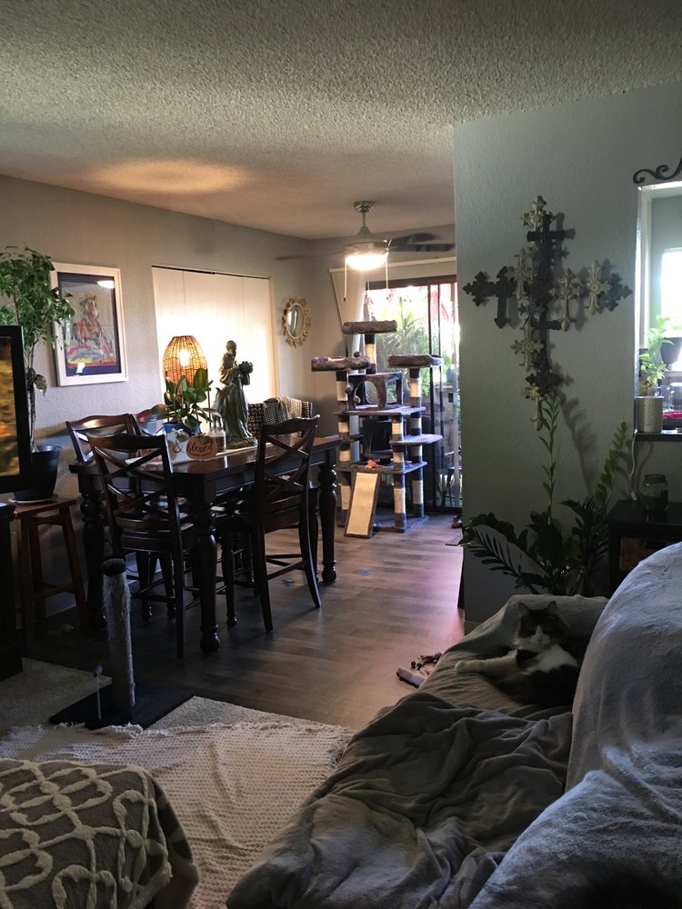 SAND CREEK APARTMENTS Updated April 2024 1701 S Mills Ave, Lodi