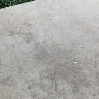 Hawx Pest Control - Ants. Zoom in. Once I get home I will try attaching pics from the ant pile I have in the front of the house. - Pest Control Near Me - Austin, Texas Hawx Pest Control - Ants. Zoom in. Once I get home I will try attaching pics from the ant pile I have in the front of the house. - Pest Control Near Me - Austin, Texas