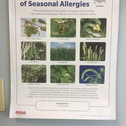 Lehigh Valley Health Network - Common Causes of Seasonal Allergies!