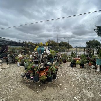 Rod’s Nursery - Nurseries & Gardening Near Me - Santa Paula, California Rod’s Nursery - Nurseries & Gardening Near Me - Santa Paula, California