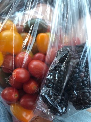 West End Farmers Market by null