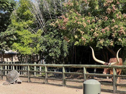 Houston Zoo by null