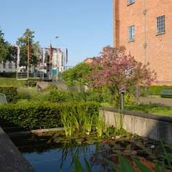 MIAT - Verftuin