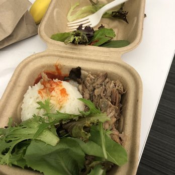 Hawaii Nei Cafe - Their slowly roasted pork with sides ( only white rice and a little bit salad greens) - Hawaiian Near Me - San Marcos, Texas Hawaii Nei Cafe - Their slowly roasted pork with sides ( only white rice and a little bit salad greens) - Hawaiian Near Me - San Marcos, Texas