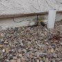 Photo of AR Engineering Construction