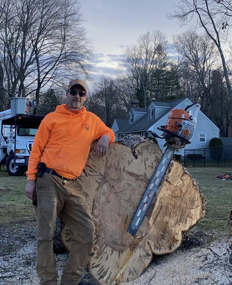 Tree Care Services - tree service in Farmington, CT