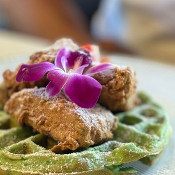 Breaking Dawn Brunch - Pandan Chicken & Waffles - "RBF" on the menu - Breakfast & Brunch Near Me - Los Gatos, California Breaking Dawn Brunch - Pandan Chicken & Waffles - "RBF" on the menu - Breakfast & Brunch Near Me - Los Gatos, California
