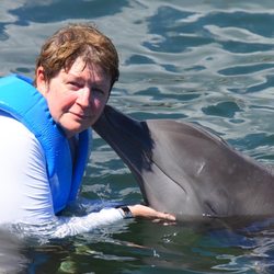 Marina El Cid Riviera Maya - Swim with the Dolphins at El Cid, Cancun.