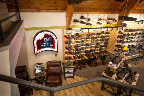 the heel shoe fitters