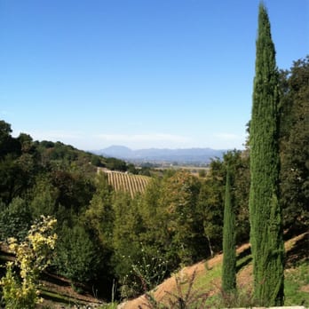 Blankiet Estate - View up valley from the house - Wineries Near Me - Yountville, California