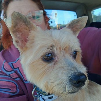Union Dog Spa - Pet Groomers Near Me - Union, Missouri