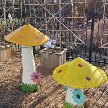 Moon Valley Nurseries - Nurseries & Gardening Near Me - Peachtree City, Georgia