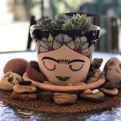 A beautiful pot displaying my new succulents