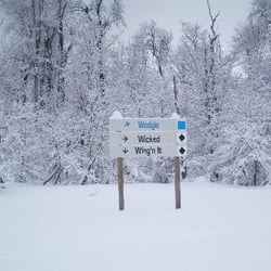 Ski Fanatics - Ski Fanatics ski shop