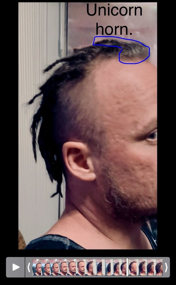 Salt Lake City Dreadlock Shop Logo