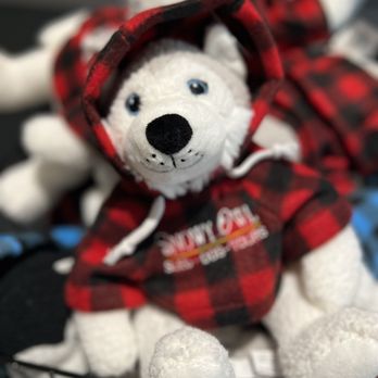 Snowy Owl Sled Dog Tours - Tours Near Me - Canmore, Alberta Snowy Owl Sled Dog Tours - Tours Near Me - Canmore, Alberta