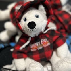 Snowy Owl Sled Dog Tours