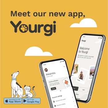 Rover Resort - We've unleashed our new app, Yourgi - Filled with features that will make your tail wag! Learn more at www.roverresort.com/our-yourgi-app - Pet Groomers Near Me - Mckinney, Texas