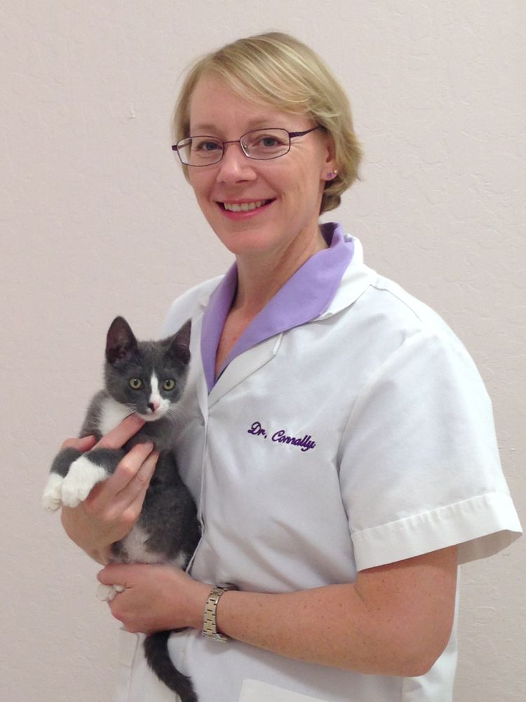 HAPPY CATS HOUSECALL VET Updated August 2024 Fort Collins, Colorado