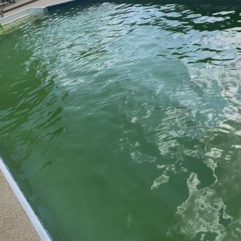 AquaJEM Pools Service - Day 2 stay tuned for day 3 transformation - Pool Cleaners Near Me AquaJEM Pools Service - Day 2 stay tuned for day 3 transformation - Pool Cleaners Near Me