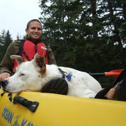 Northwest EcoExcursions - Just wachin' the world go by (now tell me she isn't the cutest dog alive?!)