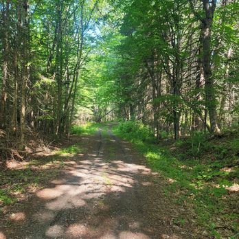 Ladd Pond Cabins and Campground - The drive in on the expansive property. SO gorgeous! - Campgrounds Near Me - Stewartstown, New Hampshire Ladd Pond Cabins and Campground - The drive in on the expansive property. SO gorgeous! - Campgrounds Near Me - Stewartstown, New Hampshire