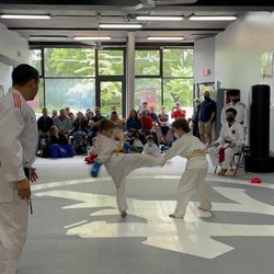 Fonseca Martial Arts - Wilmette - Fonseca Dojo Duels